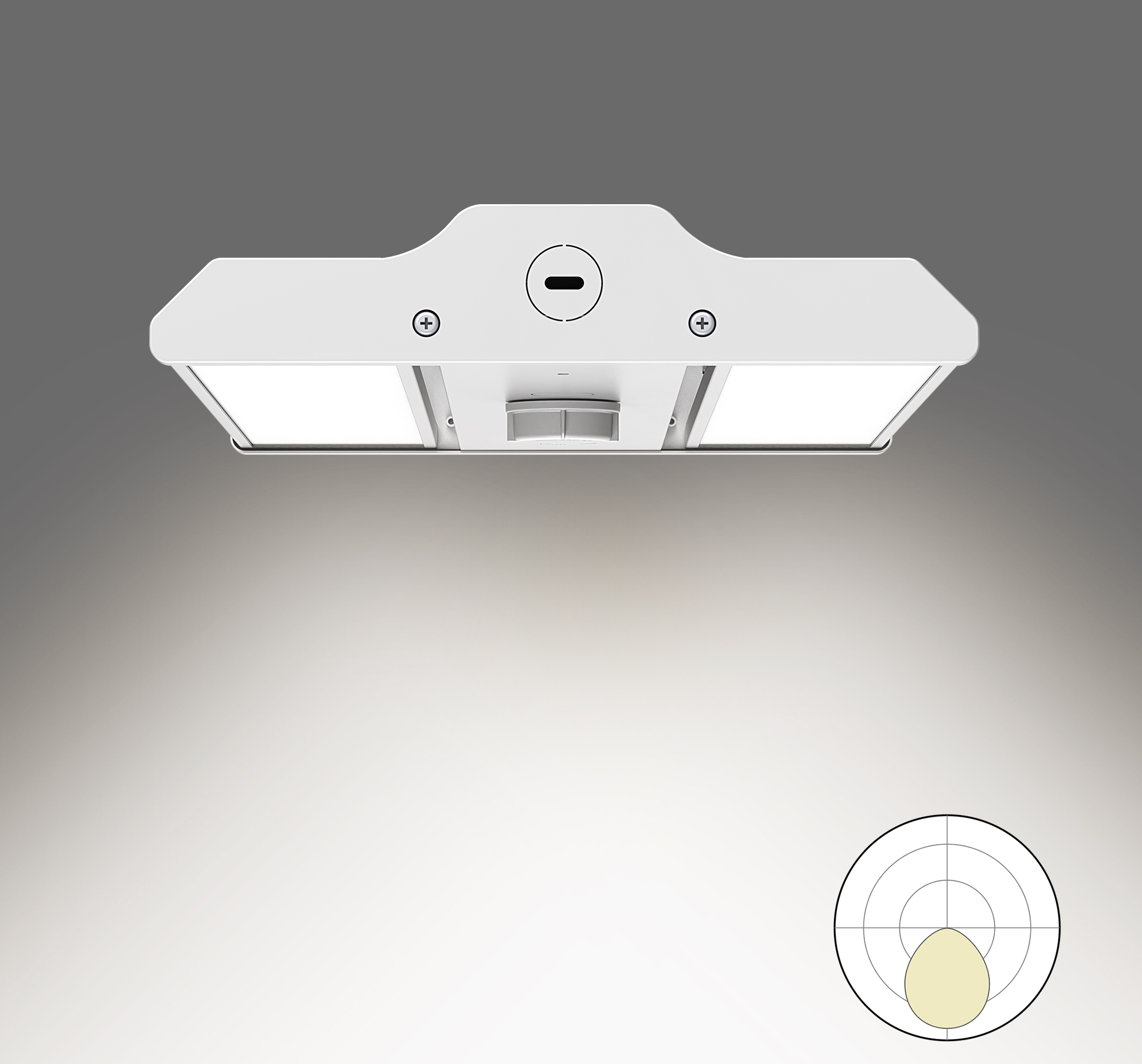GEN5 Highby/2FT/100W/Lens 100x40°/RA80/4000K