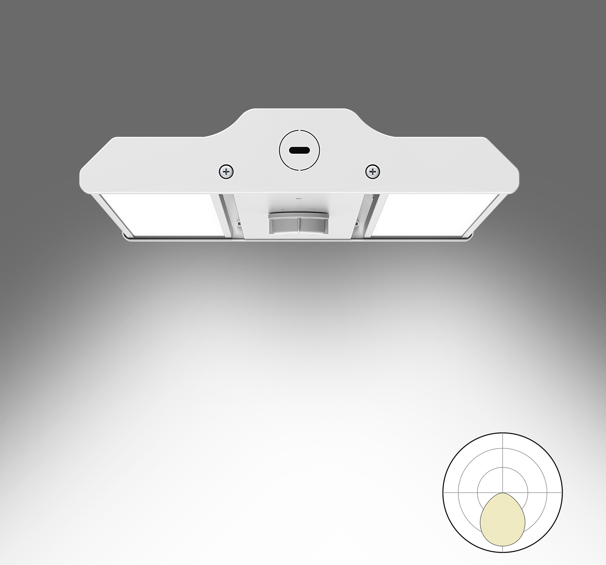 GEN5 Highby/2FT/100W/Lens 100x40°/RA80/5000K